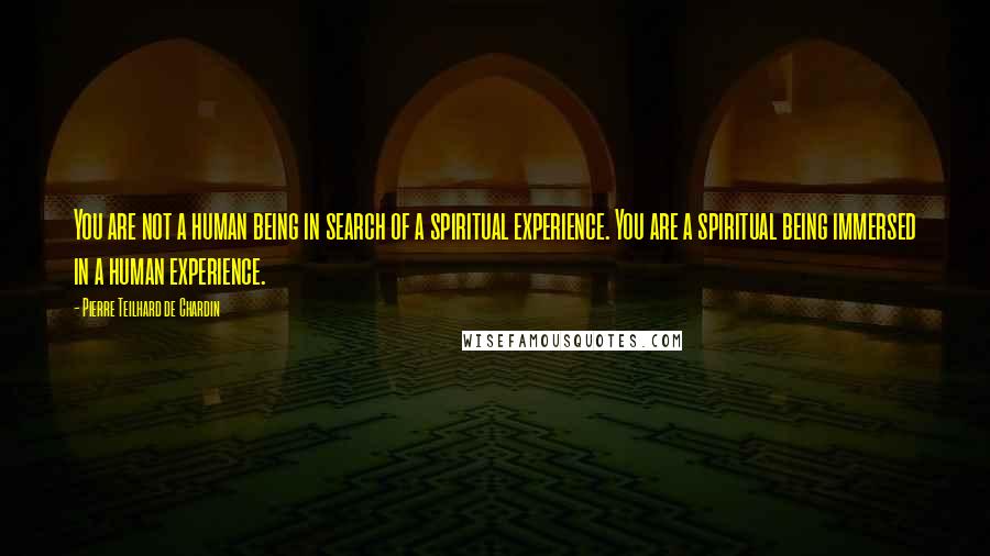 Pierre Teilhard De Chardin Quotes: You are not a human being in search of a spiritual experience. You are a spiritual being immersed in a human experience.