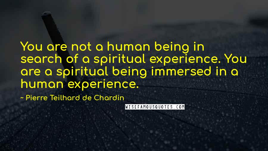 Pierre Teilhard De Chardin Quotes: You are not a human being in search of a spiritual experience. You are a spiritual being immersed in a human experience.