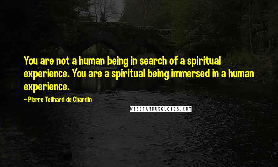 Pierre Teilhard De Chardin Quotes: You are not a human being in search of a spiritual experience. You are a spiritual being immersed in a human experience.