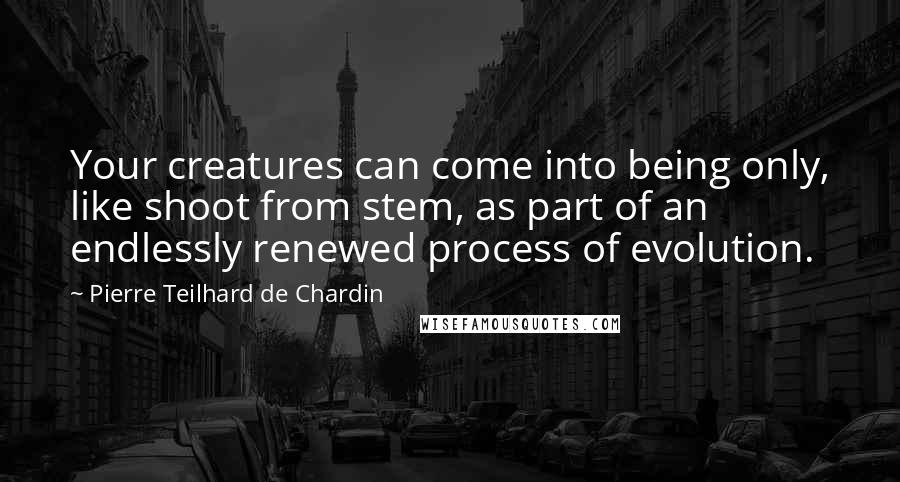 Pierre Teilhard De Chardin Quotes: Your creatures can come into being only, like shoot from stem, as part of an endlessly renewed process of evolution.