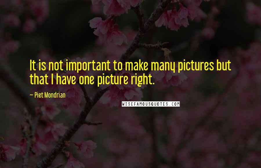 Piet Mondrian Quotes: It is not important to make many pictures but that I have one picture right.