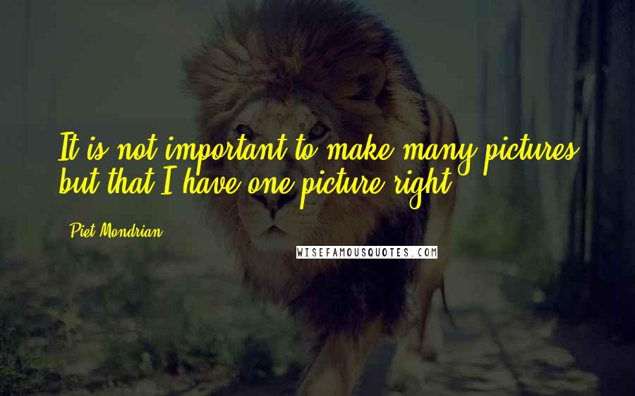 Piet Mondrian Quotes: It is not important to make many pictures but that I have one picture right.