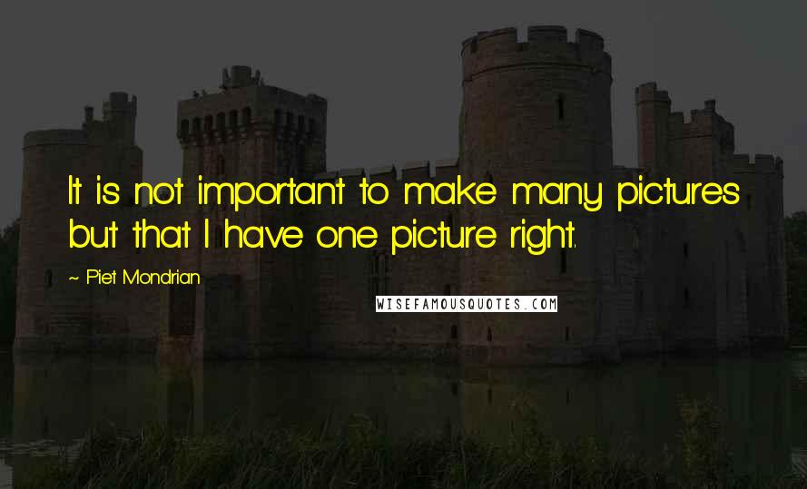 Piet Mondrian Quotes: It is not important to make many pictures but that I have one picture right.