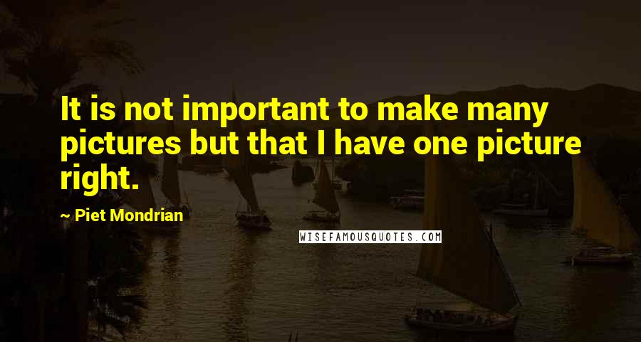 Piet Mondrian Quotes: It is not important to make many pictures but that I have one picture right.