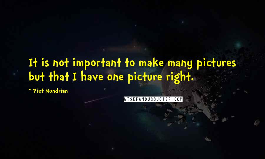 Piet Mondrian Quotes: It is not important to make many pictures but that I have one picture right.