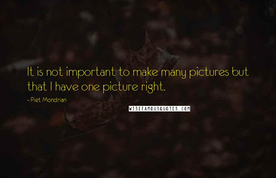 Piet Mondrian Quotes: It is not important to make many pictures but that I have one picture right.