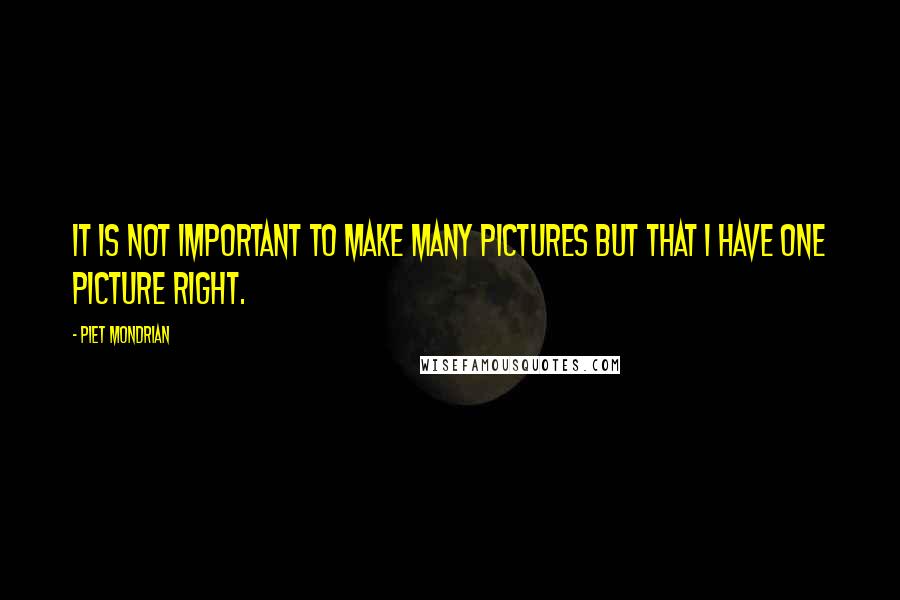 Piet Mondrian Quotes: It is not important to make many pictures but that I have one picture right.