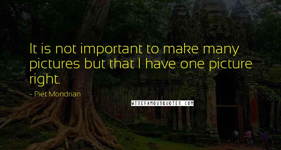 Piet Mondrian Quotes: It is not important to make many pictures but that I have one picture right.