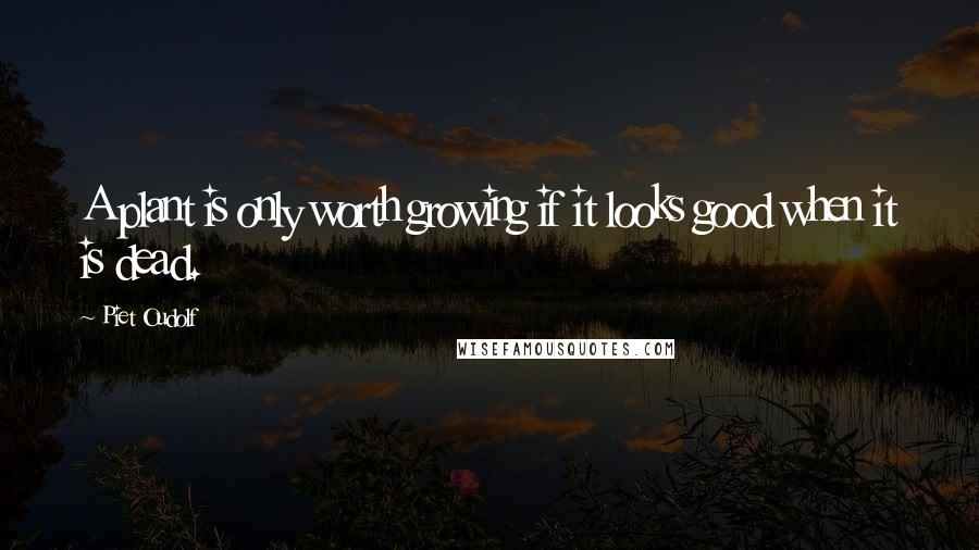 Piet Oudolf Quotes: A plant is only worth growing if it looks good when it is dead.