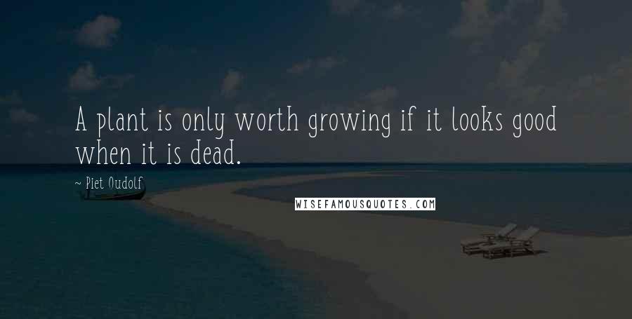 Piet Oudolf Quotes: A plant is only worth growing if it looks good when it is dead.