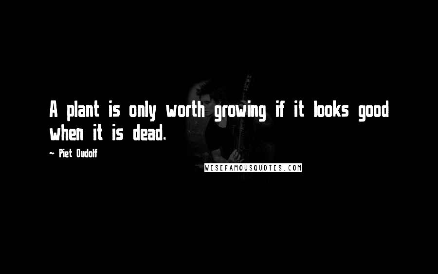 Piet Oudolf Quotes: A plant is only worth growing if it looks good when it is dead.