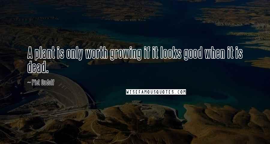 Piet Oudolf Quotes: A plant is only worth growing if it looks good when it is dead.