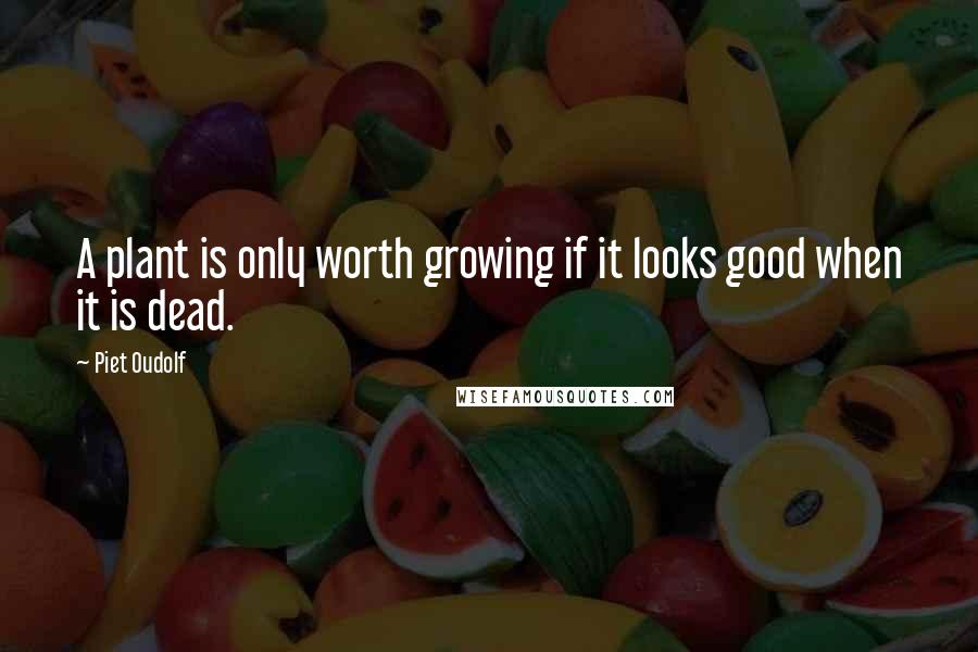 Piet Oudolf Quotes: A plant is only worth growing if it looks good when it is dead.