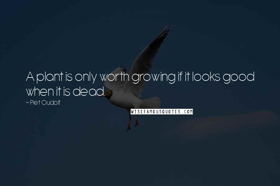 Piet Oudolf Quotes: A plant is only worth growing if it looks good when it is dead.