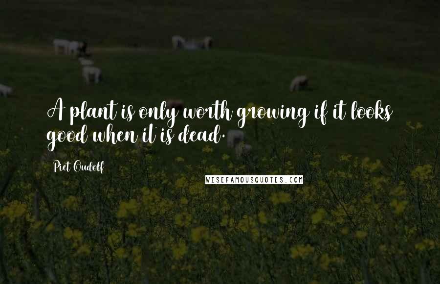 Piet Oudolf Quotes: A plant is only worth growing if it looks good when it is dead.