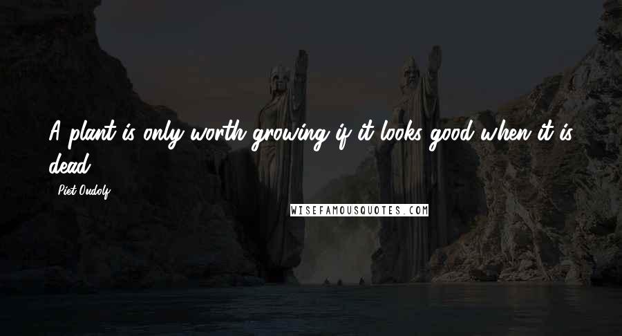 Piet Oudolf Quotes: A plant is only worth growing if it looks good when it is dead.