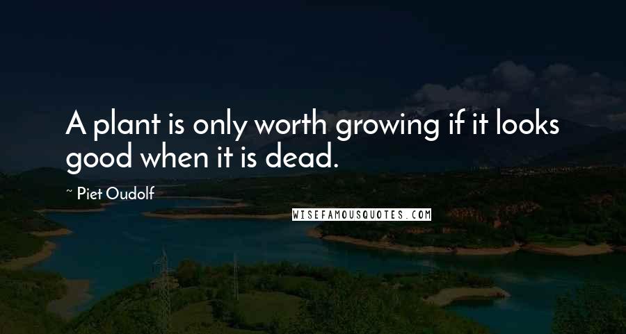 Piet Oudolf Quotes: A plant is only worth growing if it looks good when it is dead.