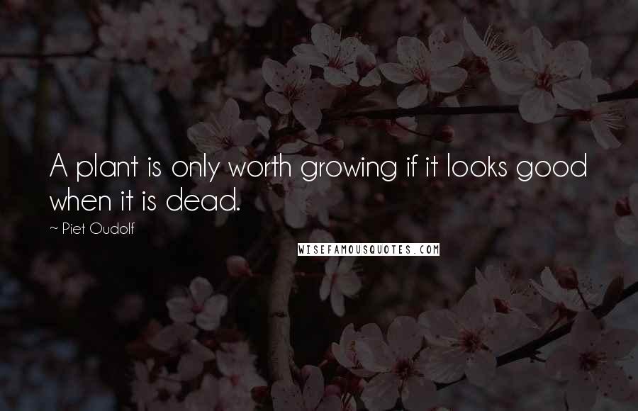 Piet Oudolf Quotes: A plant is only worth growing if it looks good when it is dead.