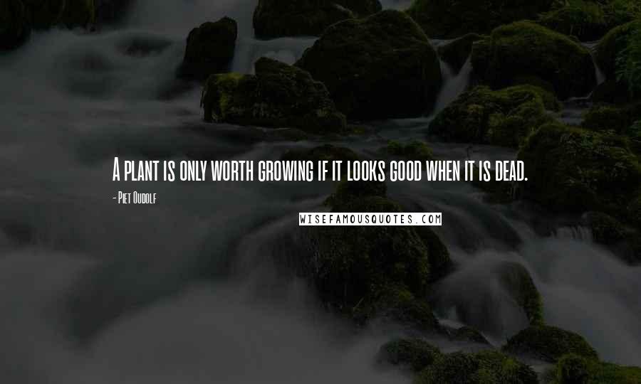 Piet Oudolf Quotes: A plant is only worth growing if it looks good when it is dead.