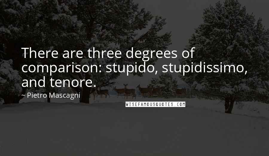 Pietro Mascagni Quotes: There are three degrees of comparison: stupido, stupidissimo, and tenore.