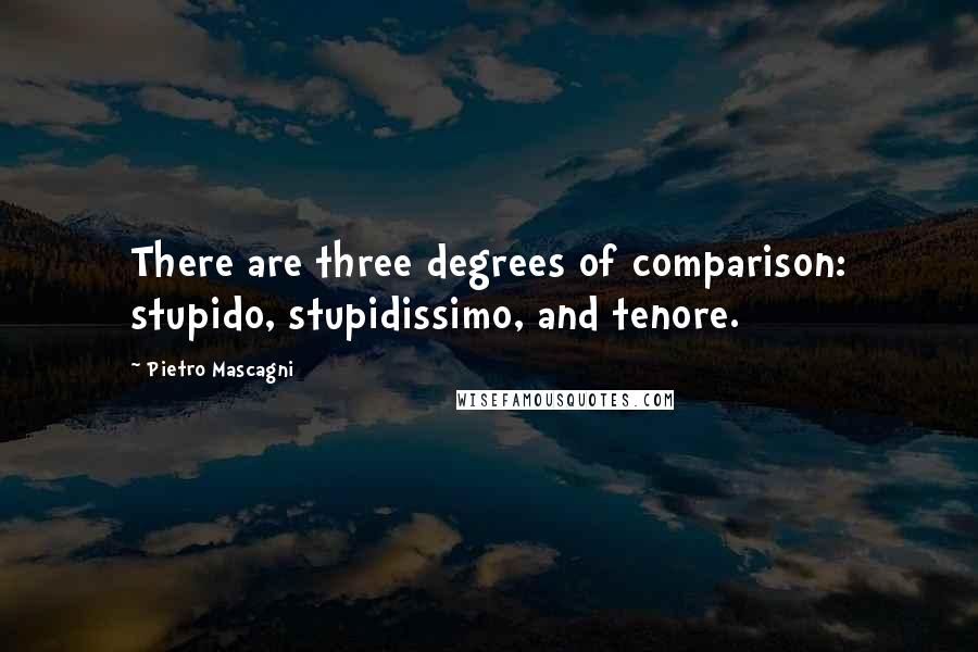 Pietro Mascagni Quotes: There are three degrees of comparison: stupido, stupidissimo, and tenore.