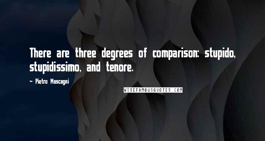 Pietro Mascagni Quotes: There are three degrees of comparison: stupido, stupidissimo, and tenore.