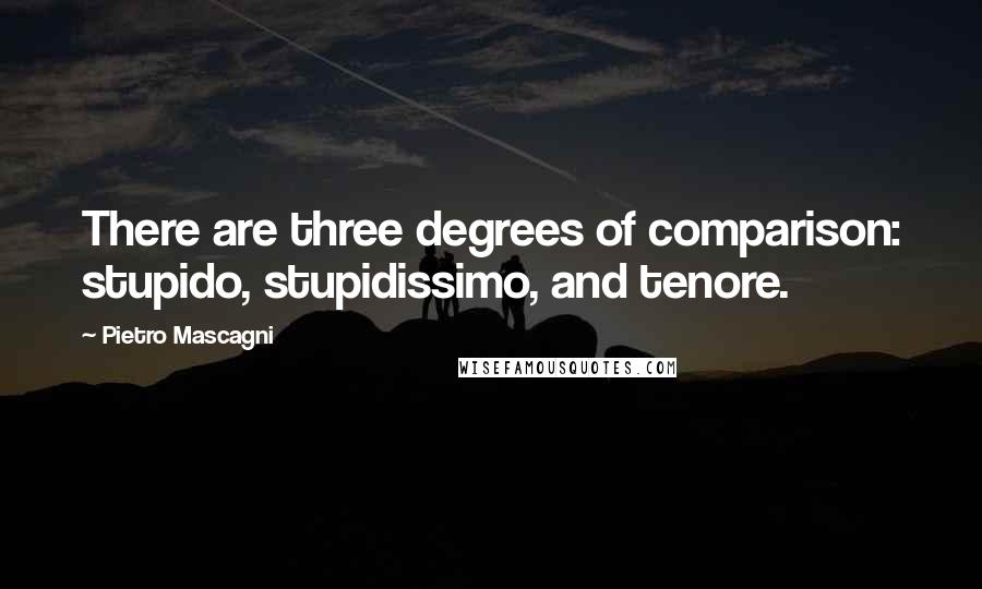 Pietro Mascagni Quotes: There are three degrees of comparison: stupido, stupidissimo, and tenore.