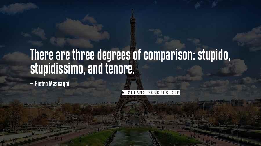 Pietro Mascagni Quotes: There are three degrees of comparison: stupido, stupidissimo, and tenore.