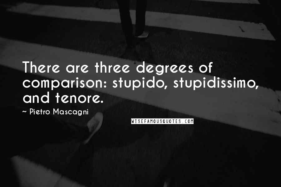 Pietro Mascagni Quotes: There are three degrees of comparison: stupido, stupidissimo, and tenore.
