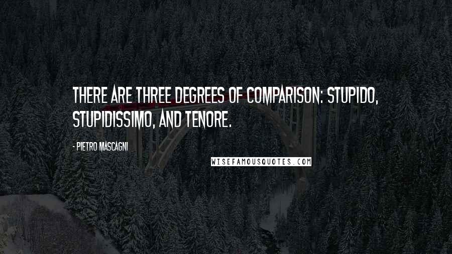 Pietro Mascagni Quotes: There are three degrees of comparison: stupido, stupidissimo, and tenore.