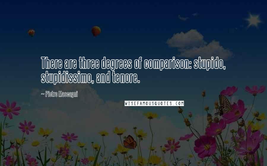 Pietro Mascagni Quotes: There are three degrees of comparison: stupido, stupidissimo, and tenore.