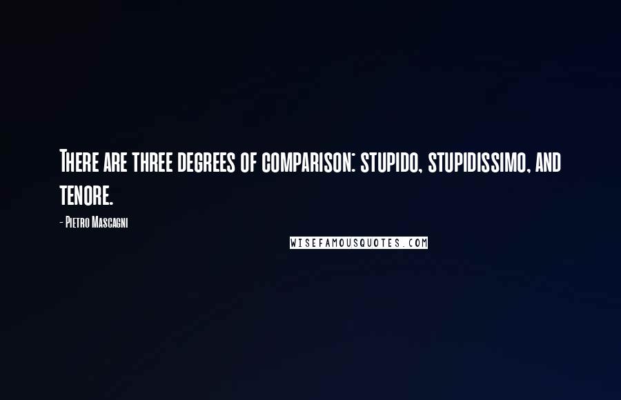 Pietro Mascagni Quotes: There are three degrees of comparison: stupido, stupidissimo, and tenore.