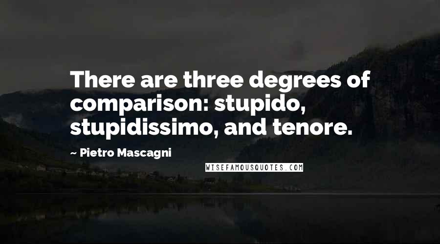 Pietro Mascagni Quotes: There are three degrees of comparison: stupido, stupidissimo, and tenore.