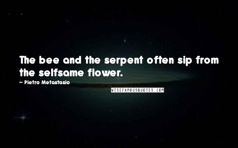 Pietro Metastasio Quotes: The bee and the serpent often sip from the selfsame flower.