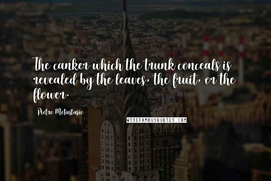 Pietro Metastasio Quotes: The canker which the trunk conceals is revealed by the leaves, the fruit, or the flower.