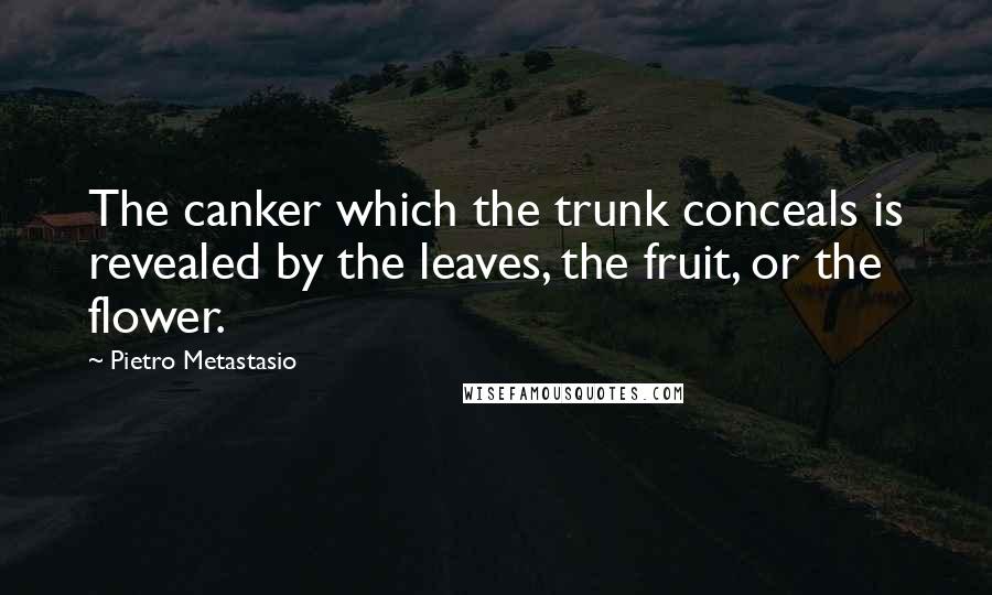 Pietro Metastasio Quotes: The canker which the trunk conceals is revealed by the leaves, the fruit, or the flower.