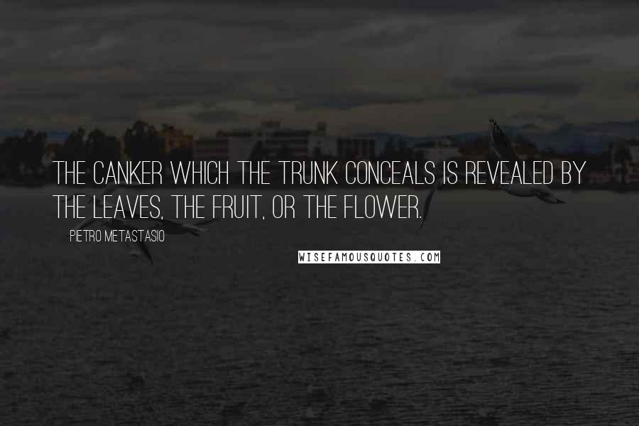 Pietro Metastasio Quotes: The canker which the trunk conceals is revealed by the leaves, the fruit, or the flower.