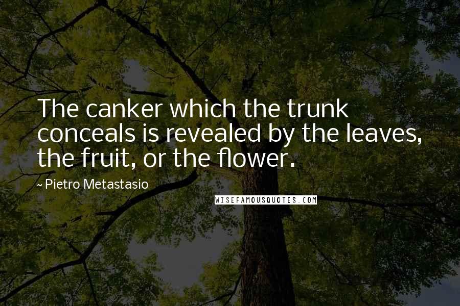 Pietro Metastasio Quotes: The canker which the trunk conceals is revealed by the leaves, the fruit, or the flower.