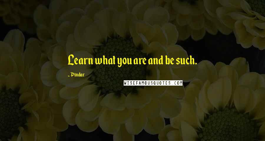 Pindar Quotes: Learn what you are and be such.