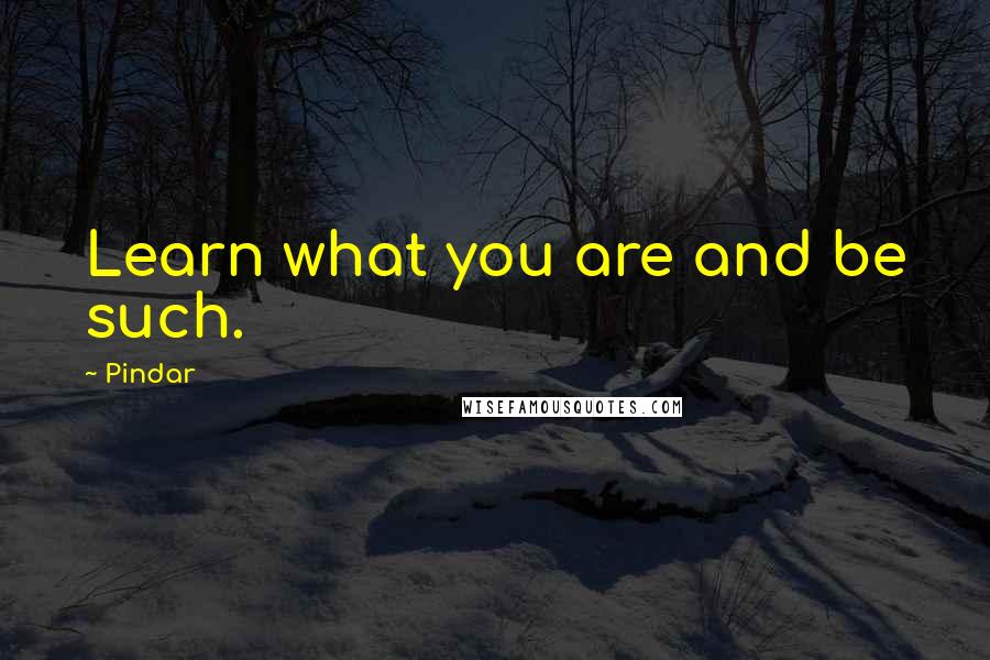 Pindar Quotes: Learn what you are and be such.
