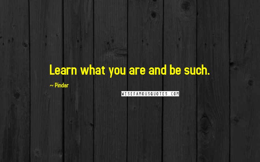 Pindar Quotes: Learn what you are and be such.