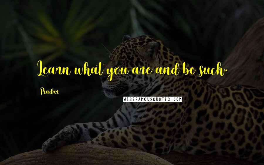 Pindar Quotes: Learn what you are and be such.