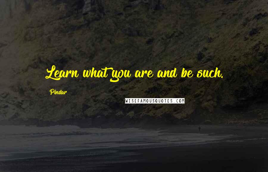 Pindar Quotes: Learn what you are and be such.