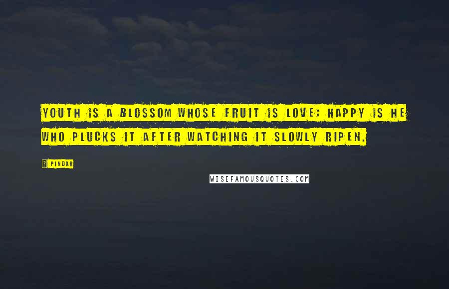 Pindar Quotes: Youth is a blossom whose fruit is love; happy is he who plucks it after watching it slowly ripen.