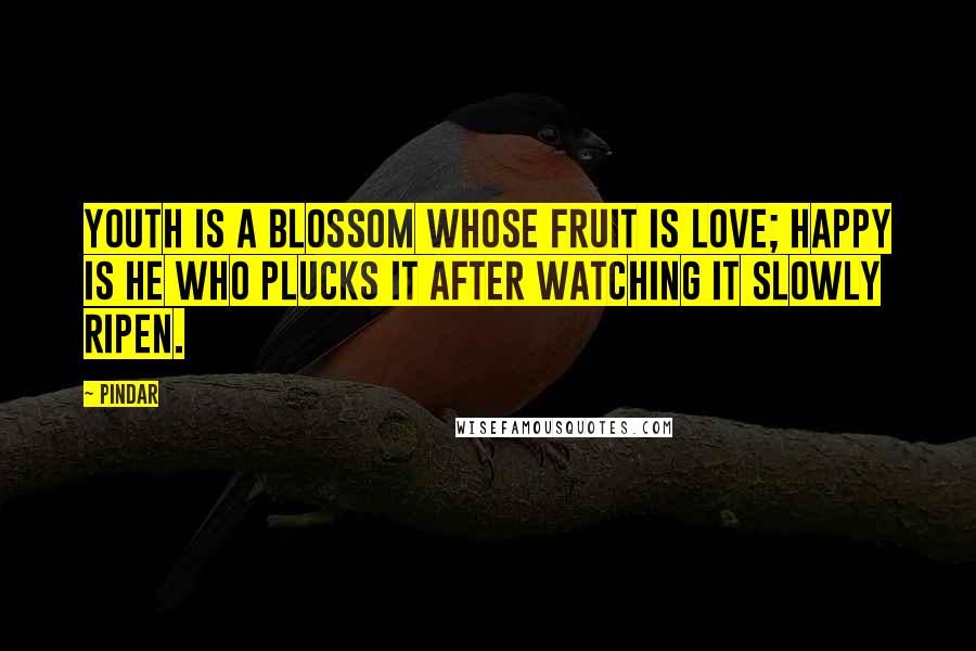 Pindar Quotes: Youth is a blossom whose fruit is love; happy is he who plucks it after watching it slowly ripen.