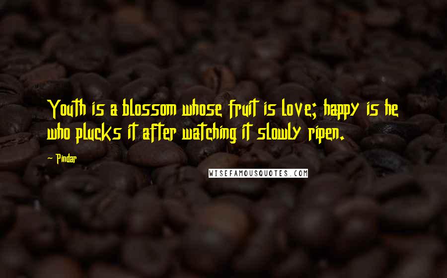 Pindar Quotes: Youth is a blossom whose fruit is love; happy is he who plucks it after watching it slowly ripen.