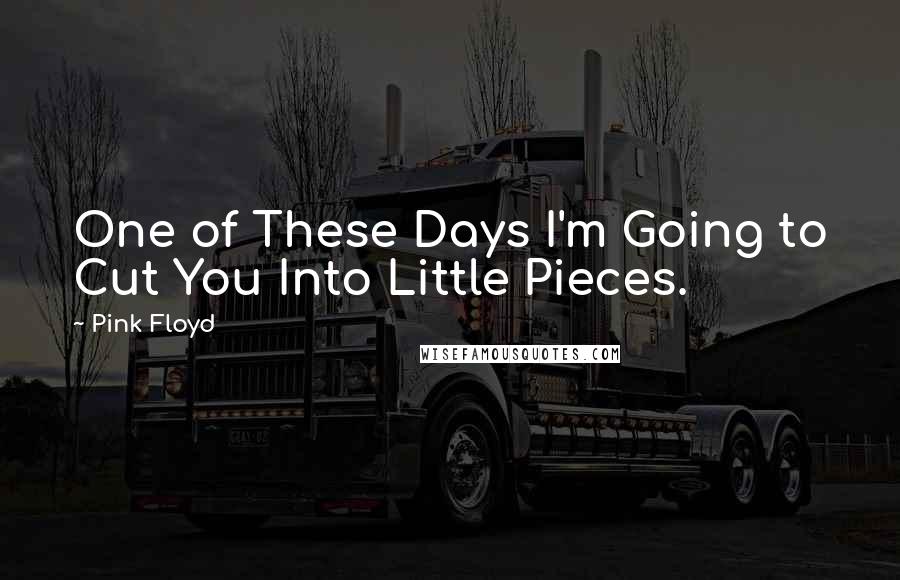 Pink Floyd Quotes: One of These Days I'm Going to Cut You Into Little Pieces.