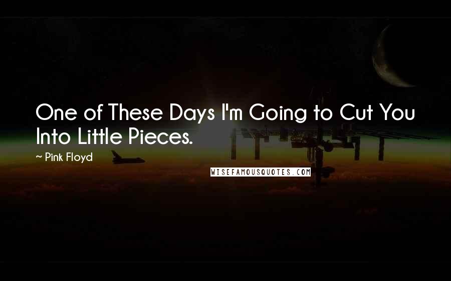 Pink Floyd Quotes: One of These Days I'm Going to Cut You Into Little Pieces.