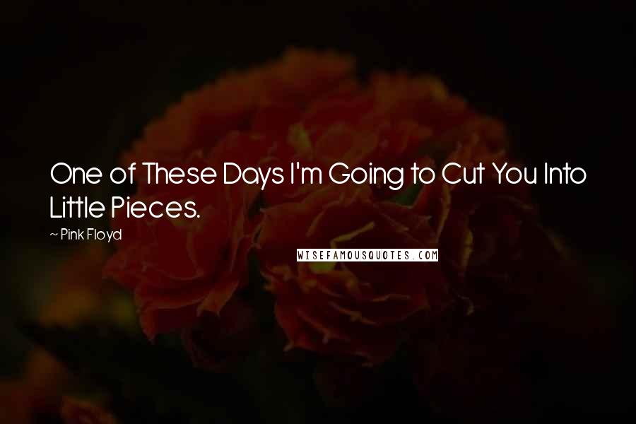 Pink Floyd Quotes: One of These Days I'm Going to Cut You Into Little Pieces.