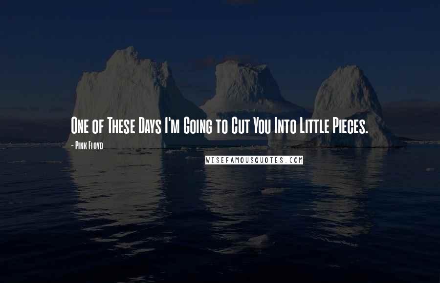 Pink Floyd Quotes: One of These Days I'm Going to Cut You Into Little Pieces.